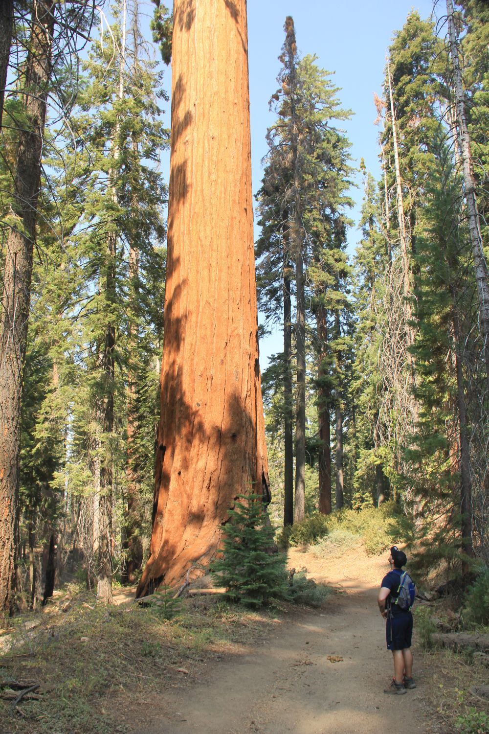 Grant Tree Trail, Boundary Trail and North Grove Trail 